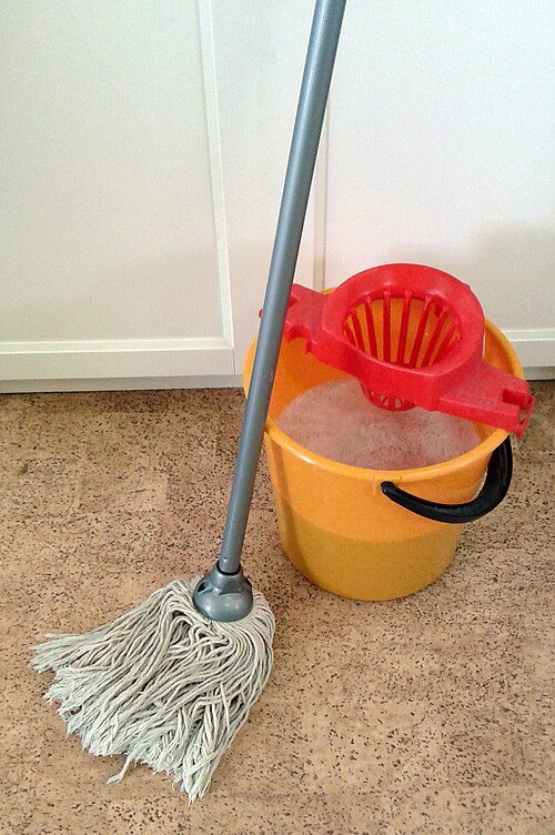 Floor Cleaner